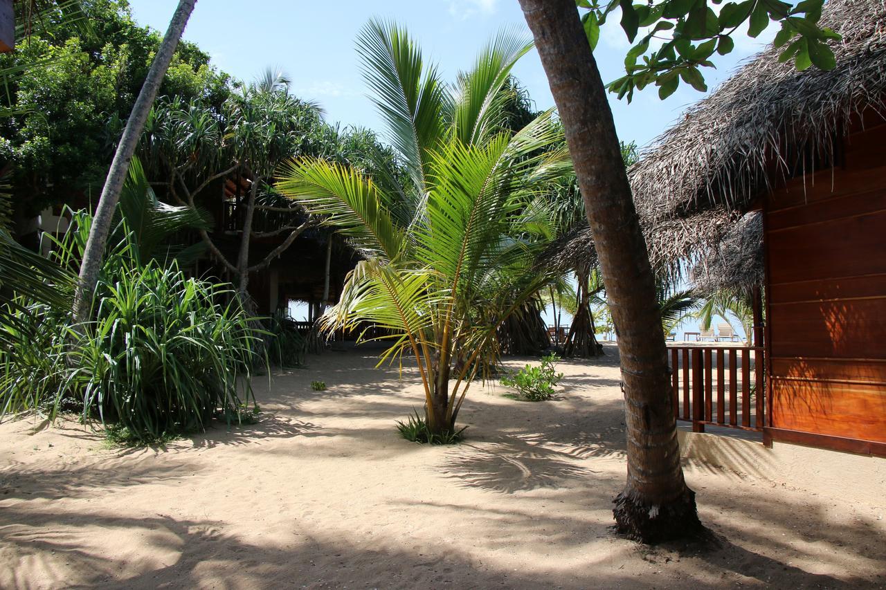 Shiva'S Beach Cabanas Tangalle Εξωτερικό φωτογραφία